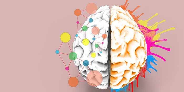 Image showing drawing of brain