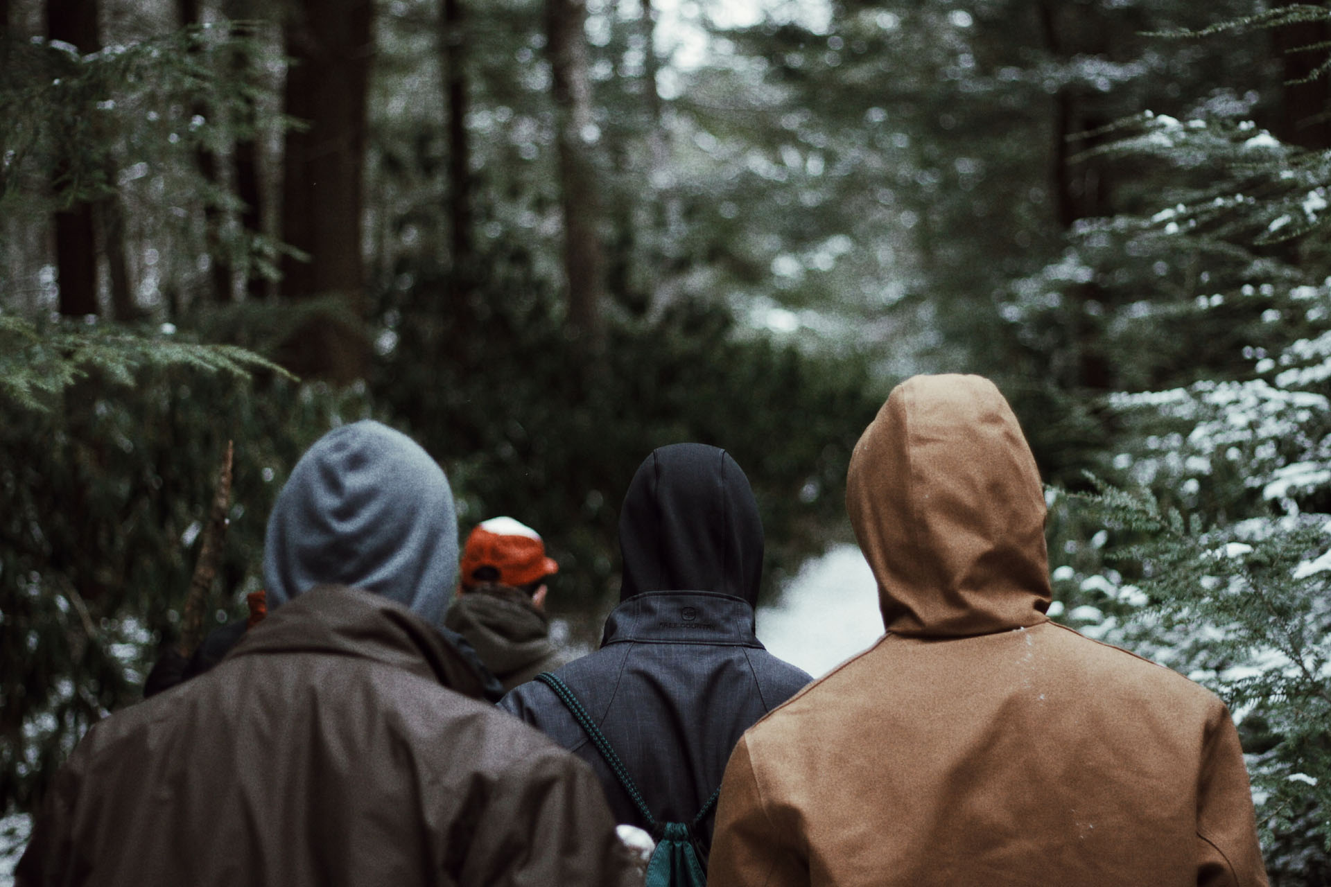 Men walking in forest 