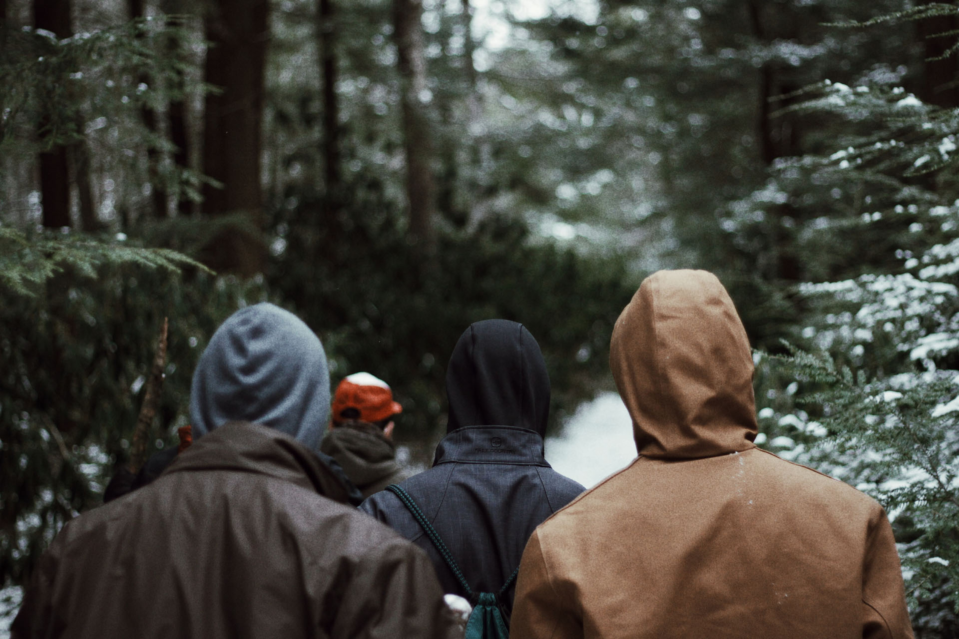 Men walking in forest 
