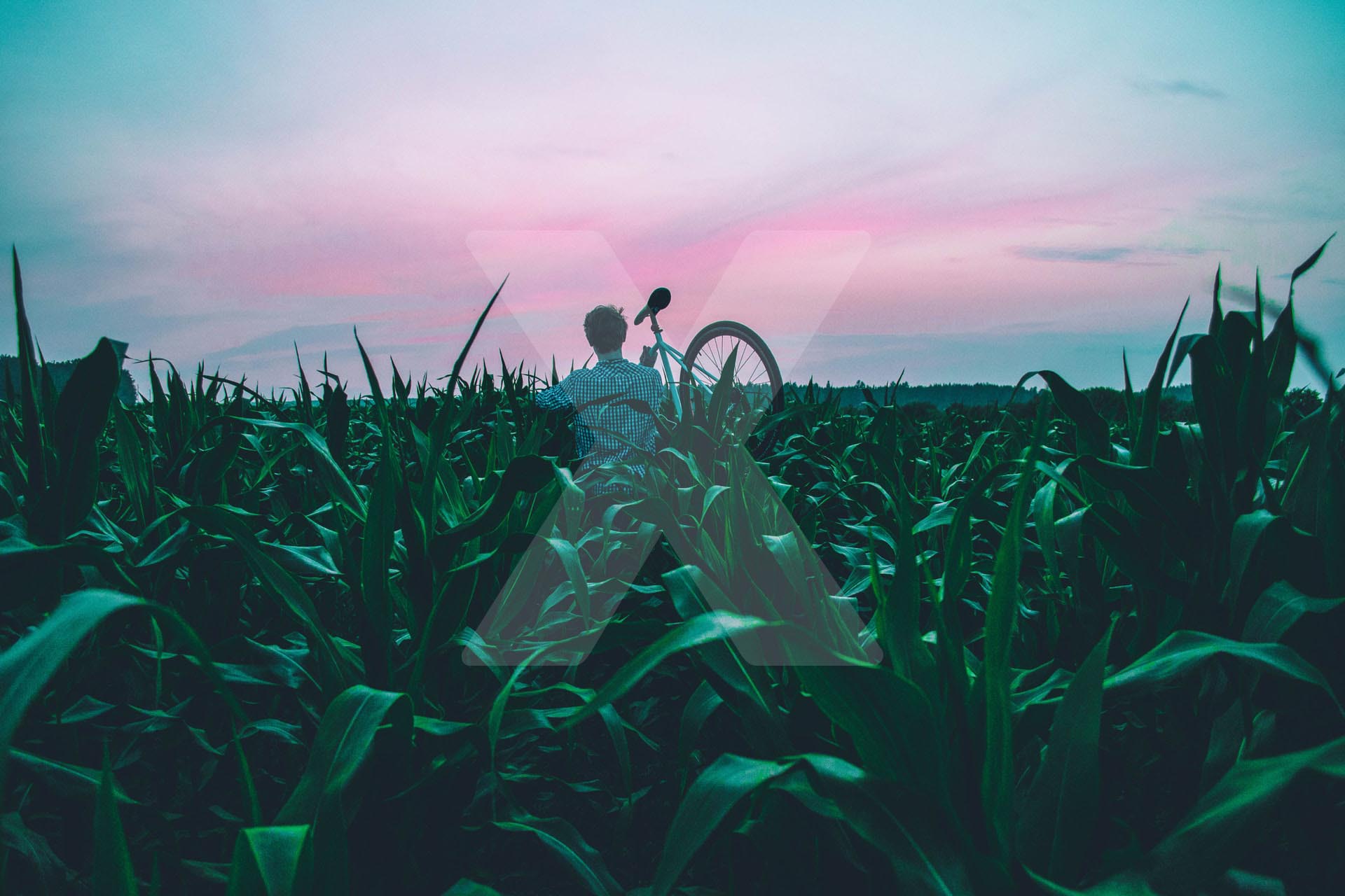 Person walking in field with bike 