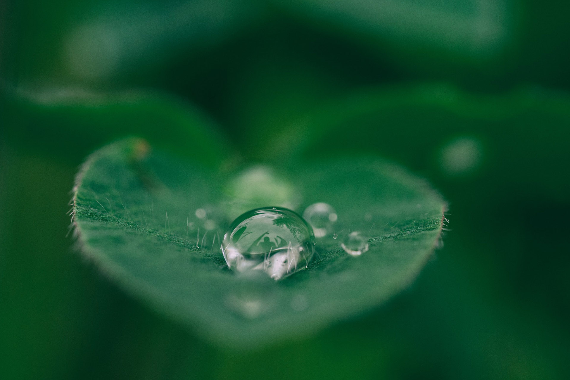 Raindrop