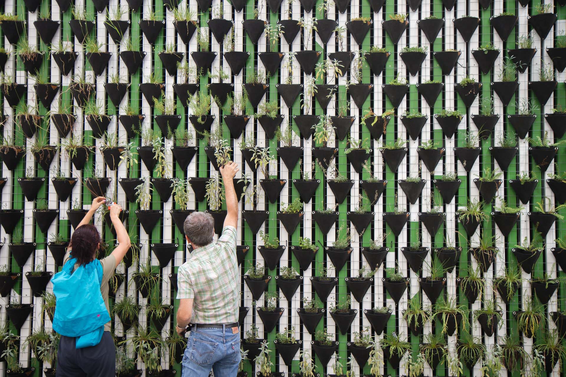 Two people in front of wall with plants