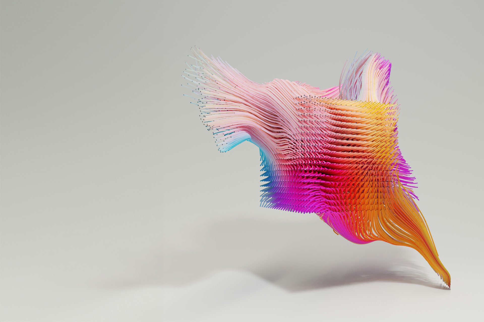dynamic colourful illustration